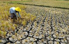 Hadapi Musim Kemarau, Kementrian PU Pantau 9 Bendungan di Jawa Barat