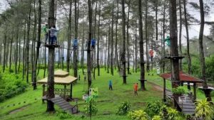 10 Rekomendasi Wisata di Bogor yang Murah, Cocok untuk Liburan Bareng Keluarga!