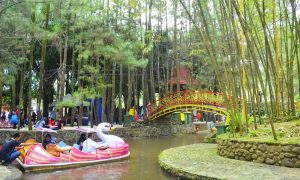 10 Rekomendasi Wisata di Bogor yang Murah, Cocok untuk Liburan Bareng Keluarga!