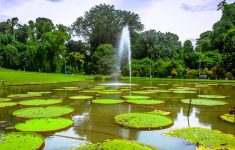 10 Rekomendasi Wisata di Bogor yang Murah, Cocok untuk Liburan Bareng Keluarga!