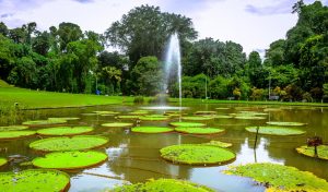 10 Rekomendasi Wisata di Bogor yang Murah, Cocok untuk Liburan Bareng Keluarga!