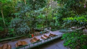 Mau Healing tapi Budget Terbatas? Ini 8 Tempat Wisata Murah di Bandung yang Seru untuk Dikunjungi