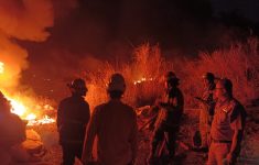 Semak dan Limbah Kain di Gunung Paseban Bandung Terbakar, Api Diduga Berasal dari Gudang Rongsok