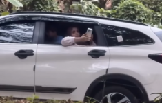 Viral Pengunjung Buka Jendela Mobil di Area Harimau Taman Safari Bogor, Terekam Sedang Ambil Video