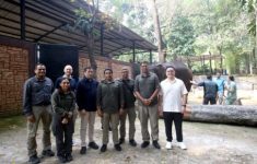 Wajah Baru Bandung Zoo Segera Hadir, Faunaland Gandeng Ahli Satwa dari India