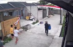 Anjing Pitbull Lepas dan Serang Anak 9 Tahun di Bandung, Korban Alami Luka Serius di Kepala