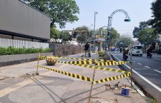 Pengelola Lapangan Padel Buka Suara Soal Penebangan Pohon di Jalan Riau Bandung