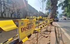 7 Pohon di Dago Atas Bandung Ditebang, Diduga Terkait Proyek Hotel