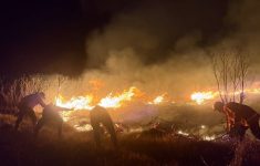 Kebakaran Gunung Picung Cianjur Padam, BPBD Ungkap Penyebab dan 23 Kasus Karhutla