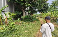 Pria Ditemukan Tewas di Kebun Citeureup Bogor Ternyata Korban Tawuran
