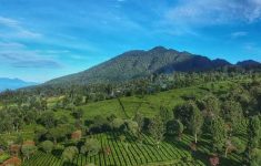 4 Gunung di Bandung Utara Ditutup Sementara, Pendakian dan Camping Dilarang