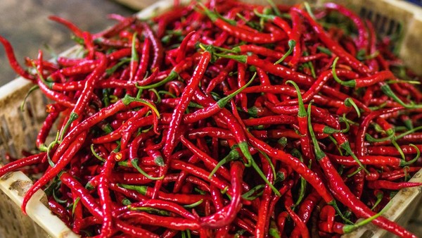 Harga Cabai Merah Keriting di Cirebon Tembus Rp50.550 per Kg, Naik 15,54% Sehari